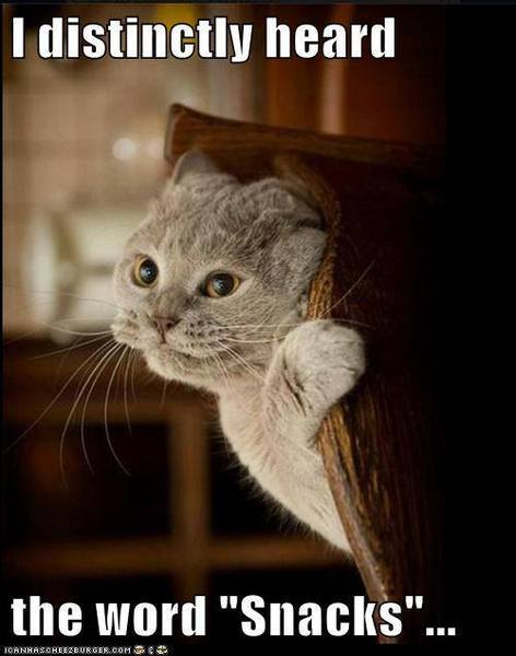 Please share your funny memes or pictures.