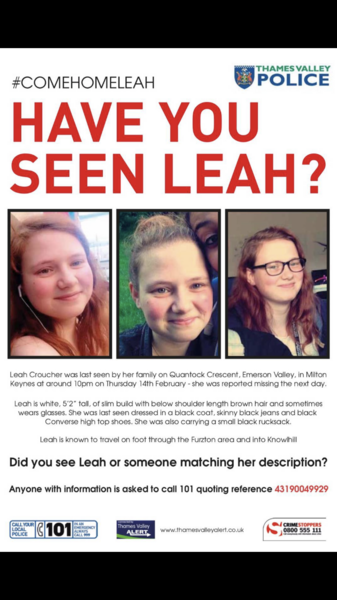 Missing Girl
