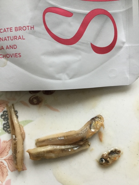 Actual fish with heads and eyes in cat soup - pic