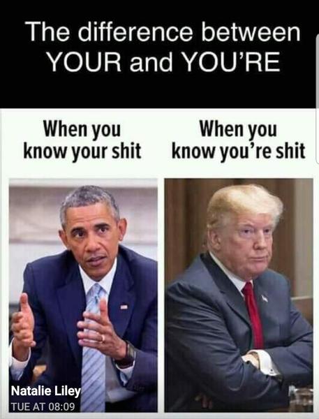 Please share your funny memes or pictures.