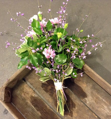 AIBU to ask about Valentine’s Day?