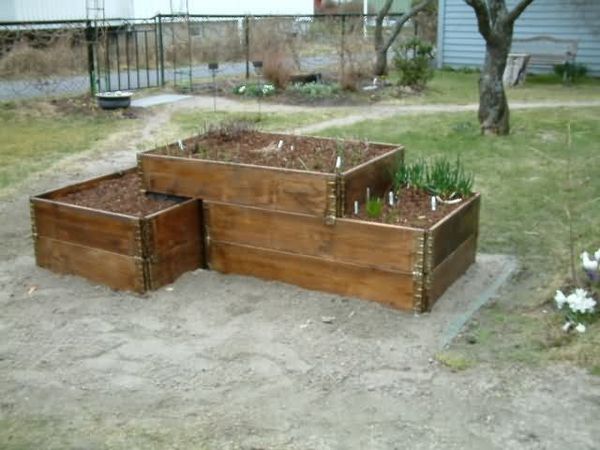 29th March "Grow your own" newcomers welcome here