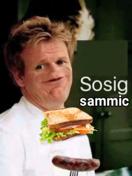 Please share your funny memes or pictures.