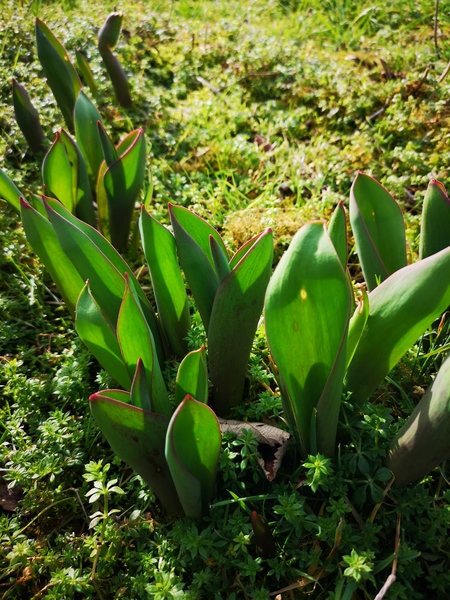 Is someone able to identify these?