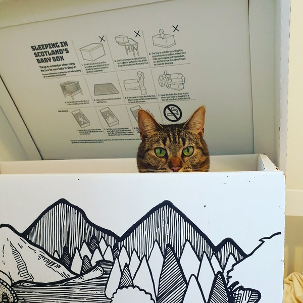 What's your DCat up to today? (Thread 7!)