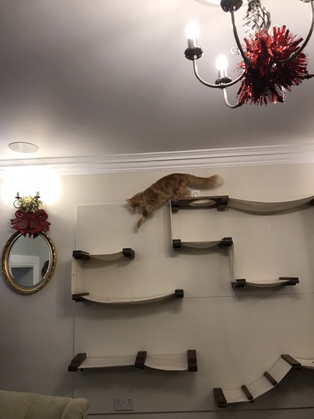 To think this cafe needs to rethink their message to customers?