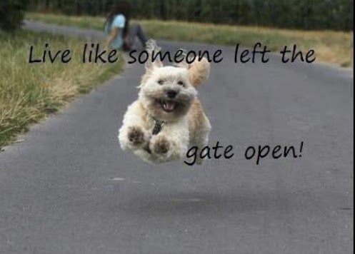 Please share your funny memes or pictures.