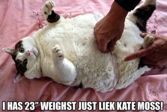 Please share your funny memes or pictures.