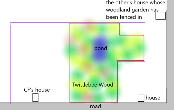 Neighbour stole our woodland?