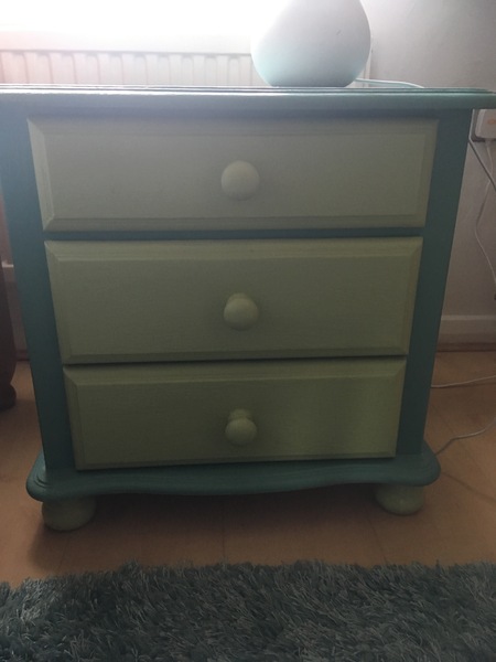 Has anyone successfully painted their furniture?