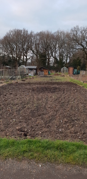 Allotment?Veg Patch Thread 13! Are we weathering the weather?