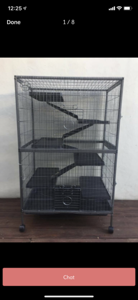 Would this be suitable for a stray cat I'm trying to take in?