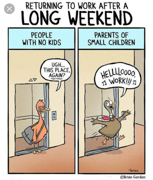 Please share your funny memes or pictures.