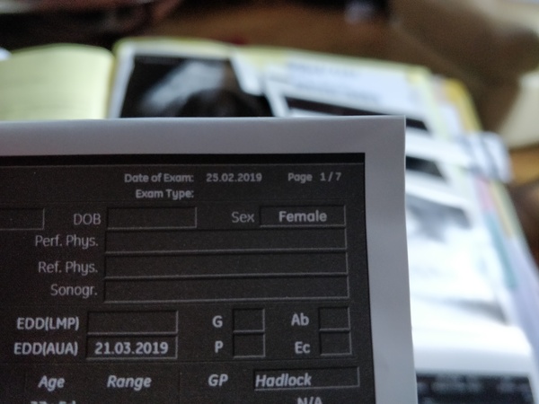 Confusion about finding out gender, please help!!