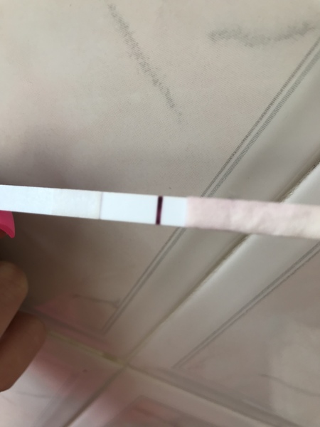 5dpo