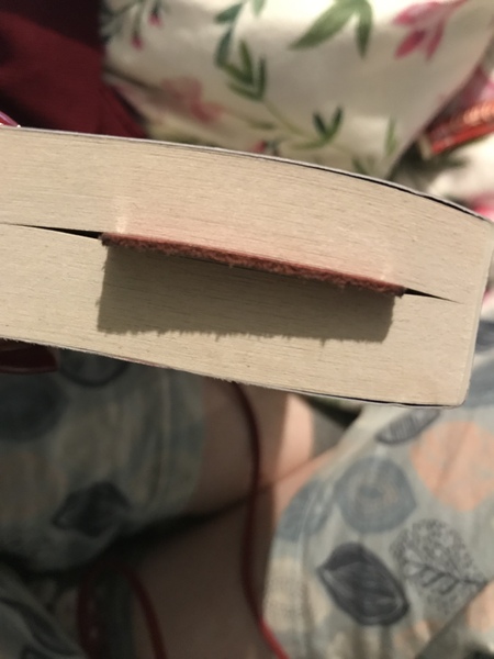 25 (ish) books in 2019