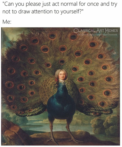 Please share your funny memes or pictures.