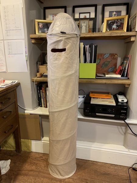 When book week costumes go wrong...