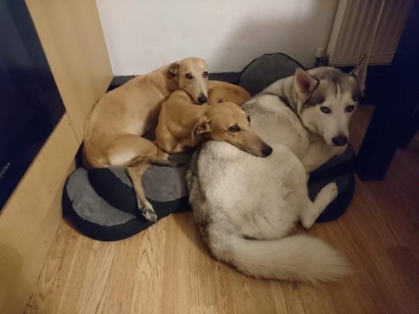 I just walked in on a threesome!