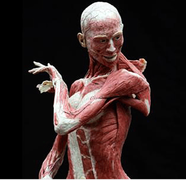 Spooky Stories and Other Weird Stuff...