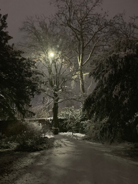 Snow watch winter 2018/19 part 2