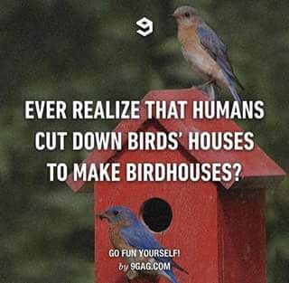 Please share your funny memes or pictures.