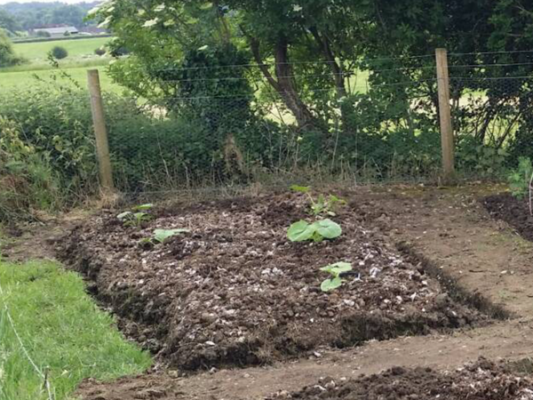 29th March "Grow your own" newcomers welcome here