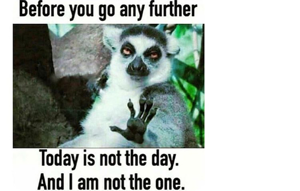 Please share your funny memes or pictures.