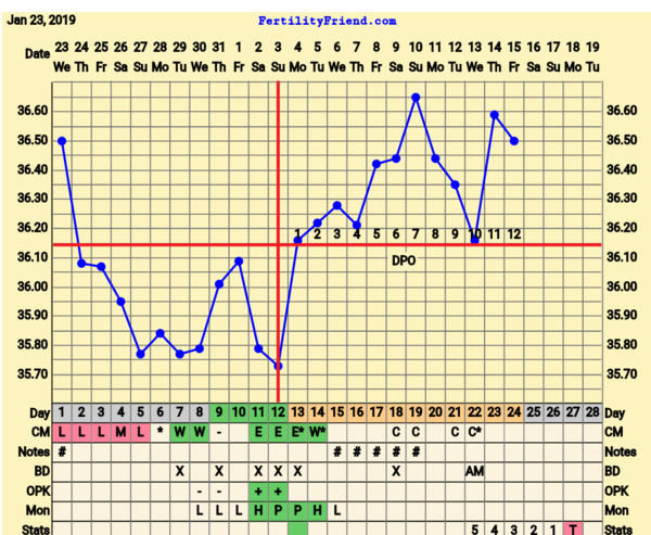 BFP Winter Wonderland, full of babydust and positive thoughts on the journey to our BFP.