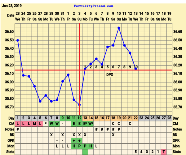 BFP Winter Wonderland, full of babydust and positive thoughts on the journey to our BFP.