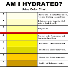 To say you don't need to drink a certain amount of water every day to be healthy