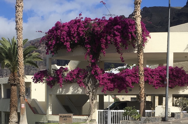 Chatty thread whilst waiting for Chernobs 2019