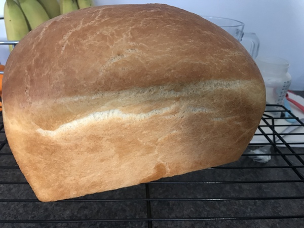 The Brexit Cupboard: Part 3