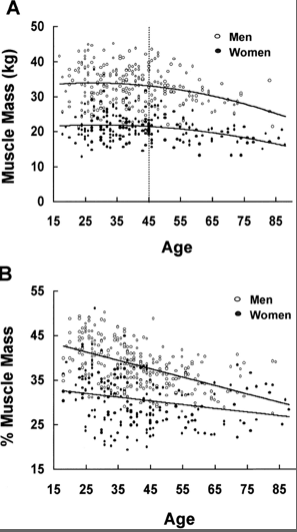 How much weight does muscle gain you?