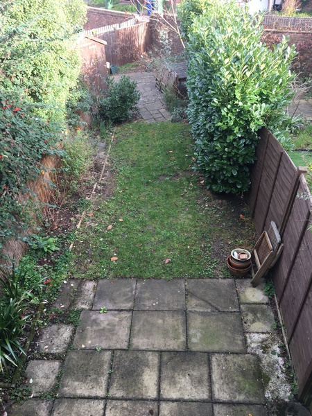 What would you do with this garden?