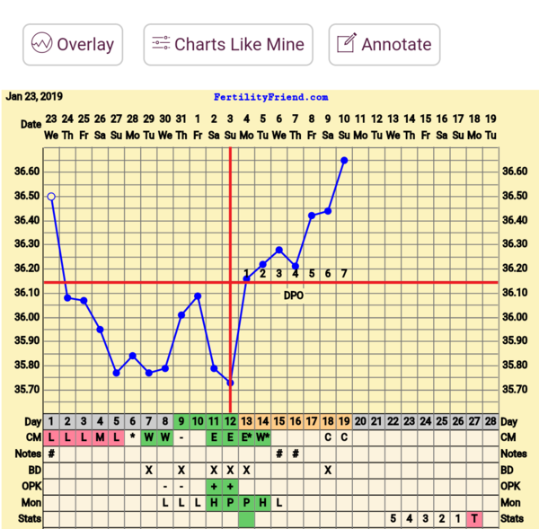 BFP Winter Wonderland, full of babydust and positive thoughts on the journey to our BFP.
