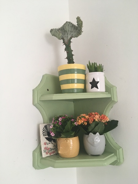Has anyone successfully painted their furniture?