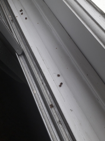 Which is warmer? Double glazed sash or secondary glass?