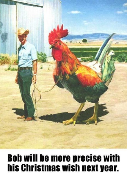 Please share your funny memes or pictures.