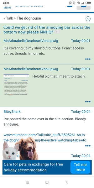 Could we get rid of the annoying bar across the bottom now please MNHQ?