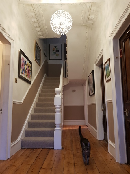Is this hall colour too dark??
