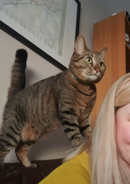 What's your DCat up to today? (Thread 7!)