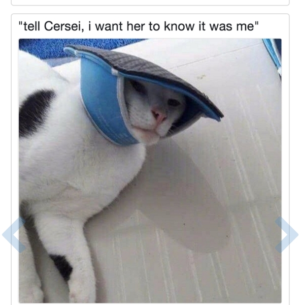 Please share your funny memes or pictures.