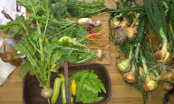 Westminstenders: Competitive Stupidity