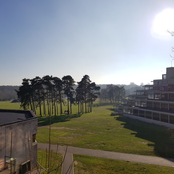 Applying for Uni 2019 entry Part 4, UCAS & offers (and thinking about exams)
