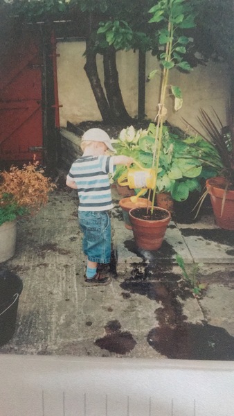 Roses are red, we like Becks Blue, Tryers to be Dryers push on through. 2019 will be our Valentine.