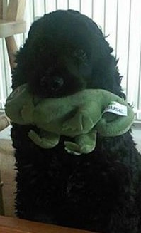 It's not summer yet, but we are on cancer support thread 69. Join us if you've got cancer or are having cancer-related tests.