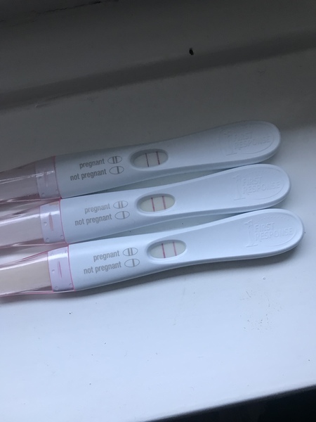Test at 18dpo