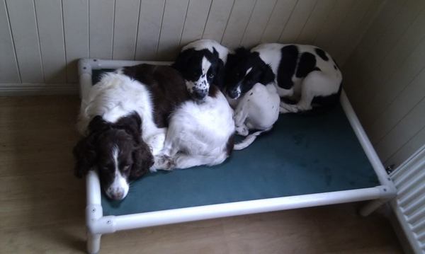 I just walked in on a threesome!