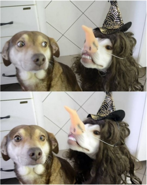 Please share your funny memes or pictures.